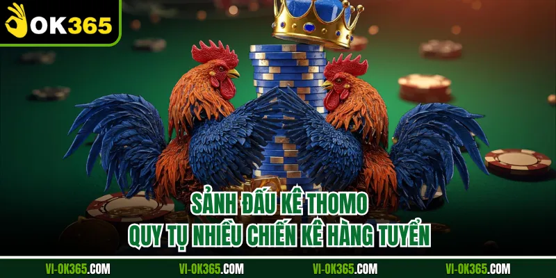 Sảnh đấu kê Thomo quy tụ nhiều chiến kê hàng tuyển