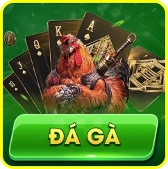Đá gà 1x